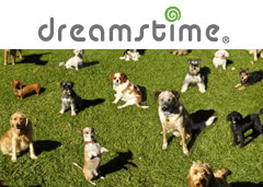 Dreamstime