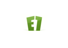 E1