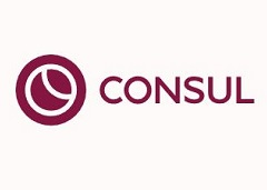 Матрасы Consul